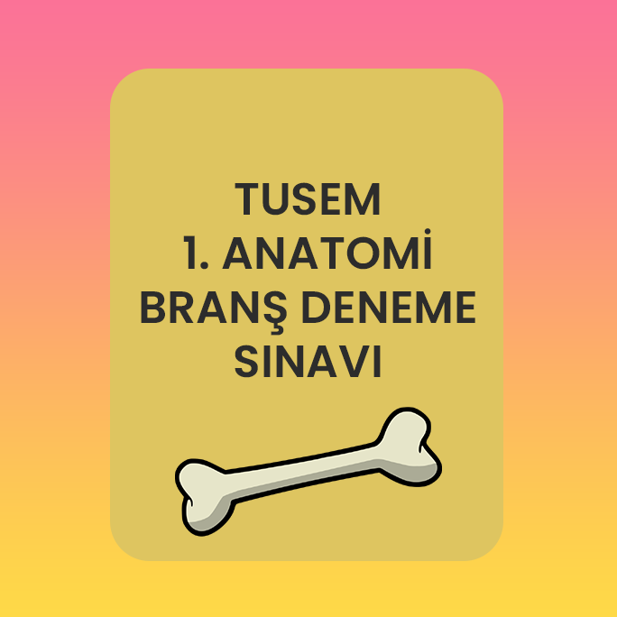 1. Deneme Sınavı